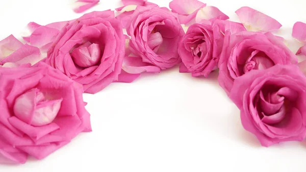 Růžové Růže Květiny Kytice Izolované Bílém Pozadí Rámec Pro Vaše — Stock fotografie