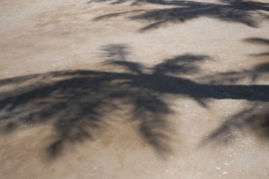 Hindistan cevizi palmiyesi yapraklarının gölgeleriyle tropik kumsal kumu. Seyahat ve tatil kavramı. Üst görünüm, yakın plan