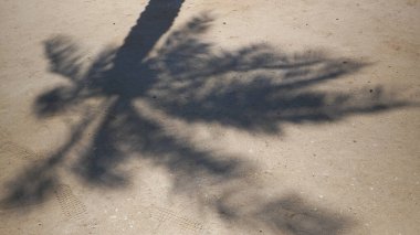 Hindistan cevizi palmiyesi yapraklarının gölgeleriyle tropik kumsal kumu. Seyahat ve tatil kavramı. Üst görünüm, yakın plan
