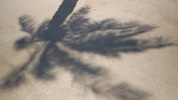 Τροπική Παραλία Άμμο Σκιές Από Φύλλα Φοίνικα Καρύδας Ταξίδι Και — Φωτογραφία Αρχείου