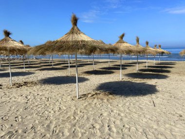 Planları olan birçok şemsiye yaz güneşli bir günde deniz sahilinde çatıdan ayrılır. Yaz tatili konsepti, açık hava.