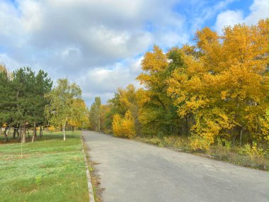 Sonbahar manzarası meşe ve mermer koruluğu ve yeşil çayır ve boş yol, açık hava.