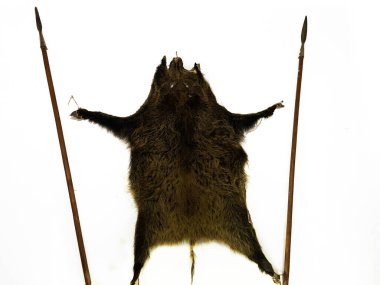 Bir hayvan derisi duvarda eski bir şatoda avlanan balta ve mızrakların yanında asılı duruyor.