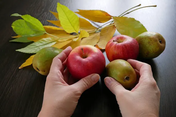 Hand holding the apple and pear on black wooden background with copy space, autumn harvest concept, closeup