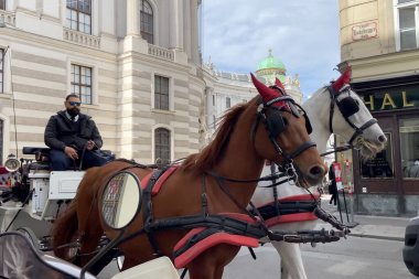 Viyana, Avusturya - 26 Mart 2024: Turistler at arabasıyla Viyana 'nın eski şehir merkezini geziyorlar.