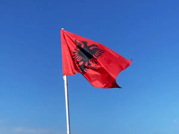 stock image Red Albanian flag with double-headed black eagle flutters in the wind on blue sky background, Travel and tourism in Balkan concept, closeup