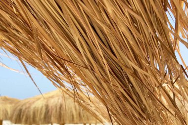 Rüzgarın altında saman plajı şemsiyesi açık mavi gökyüzüne karşı, açık havada, yakın çekim