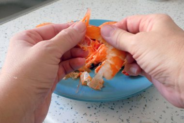 hands peeling the big king boiled prawns, testy seafood, shrimps, closeup	 clipart