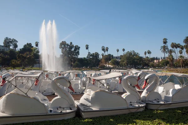 2022年10月29日アメリカ合衆国カリフォルニア州ロサンゼルス エコーパーク湖でのレンタル用のスワンボート — ストック写真