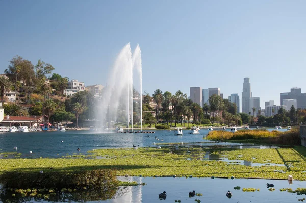 Los Angeles Usa Oktober 2022 Echo Park Meer Met Zwaan — Stockfoto