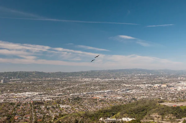 在加州伯班克市上空飞行的鸟儿 南加州圣费尔南多谷地的空中景观 — 图库照片