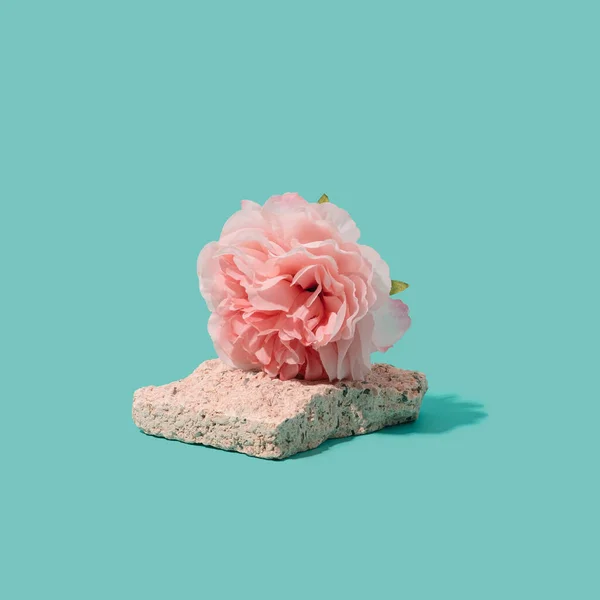 Ροζ Λουλούδι Τσιμεντένια Πλάκα Φυσικό Και Τεχνητό Φόντο Αντίθεση Μαλακό — Φωτογραφία Αρχείου