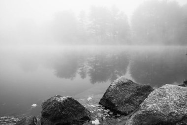 Sonbaharda Foggy Pond. New England 'da berrak bir gölde sabahın erken saatlerinde yüksek kaliteli bir fotoğraf çekildi.