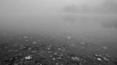 Sonbaharda Foggy Pond. New England 'da berrak bir gölde sabahın erken saatlerinde yüksek kaliteli bir fotoğraf çekildi.