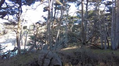 Kaliforniya sahilinin el bilgisayarı. Monterey, California yakınlarında yüksek kalite 4K görüntü