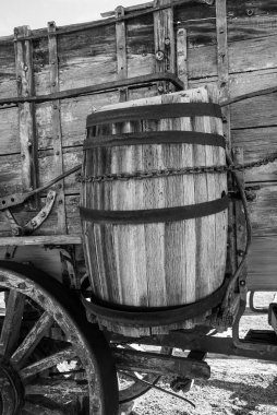 Borax 'ı Mojave Çölü' nde taşımak için 20 katır vagonunu korudu.