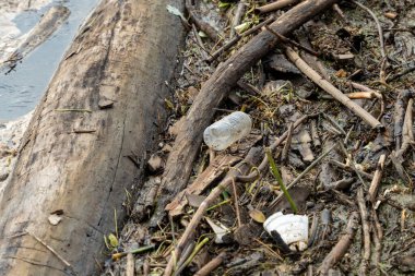 Şok edici bir görüntü, iskele yakınlarında birikmiş plastik şişe ve molozlarla tıkanmış bir nehri yakalıyor ve su kirliliği sorununu vurguluyor..