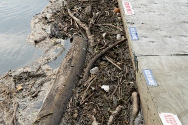 Şok edici bir görüntü, iskele yakınlarında birikmiş plastik şişe ve molozlarla tıkanmış bir nehri yakalıyor ve su kirliliği sorununu vurguluyor..