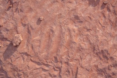 Çöldeki aşınmış kumtaşının soyut görüntüsü. Arkaplan ya da bileşen resim