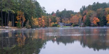 New England 'da sakin bir gölet bulutlu bir sabahta güzel sonbahar renklerini yansıtır.