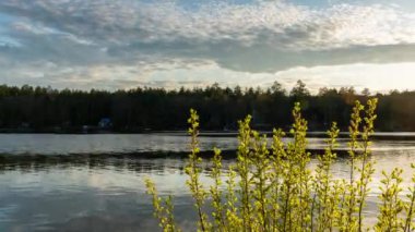 Arka planda günbatımı olan bir gölün zamanı. Gökyüzü bulutlu ve güneş batıyor. Su sakin ve gölün etrafında bazı bitkiler var.