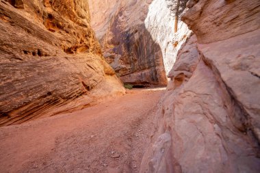 Dar bir kanyon, içinden toprak bir yol geçiyor.