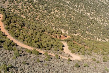 Her iki tarafında ağaçlar olan toprak yol. Yol dar ve dolambaçlı. Yolda hiç araba yok.