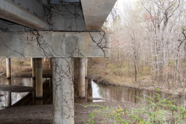 Üzerinde bir sürü sarmaşığın büyüdüğü bir köprü. Köprü bir nehrin üzerinde.