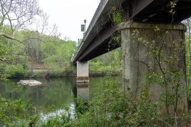 Columbia, SC - ABD - 2 Nisan 2025 - Riverbanks hayvanat bahçesinden Columbia 'daki Botanik Bahçeleri' ne yürüyen köprü bulutlu bir günde