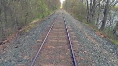Ormanda demiryolu rayları