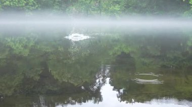 Sisli bir günde Saluda Nehri 'nin yarı hızda kurulması.