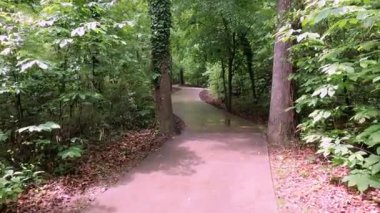 Columbia, Güney Carolina 'da düzenlenen Saluda Nehri Yürüyüşü' nün video kaydı yağmurdan hemen sonra bulutlu bir günde çekildi..