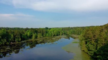 Yaz başında, sıcak bir günde Güney Carolina 'da bir değirmen göletinde drone klibi.