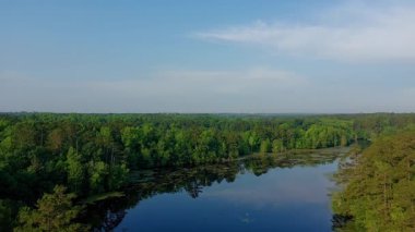 Yaz başında, sıcak bir günde Güney Carolina 'da bir değirmen göletinde drone klibi.