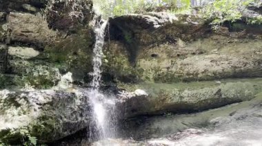 Güney Carolina 'da küçük bir şelalenin yarım hız klipsi.