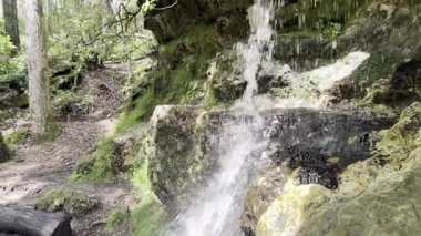 Güney Carolina 'da küçük bir şelalenin yarım hız klipsi.