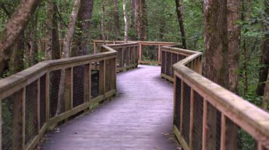 Güney Carolina 'daki Congaree Ulusal Parkı' ndaki Boardwalk Patikası 'ndan yavaşça uzaklaşın.