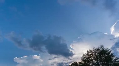 Cumulonimbus bulutları, genellikle gök gürültüsü bulutları olarak adlandırılır, sıcak bir günde yoğun yağmur üretebilen dikey bulutlardır.