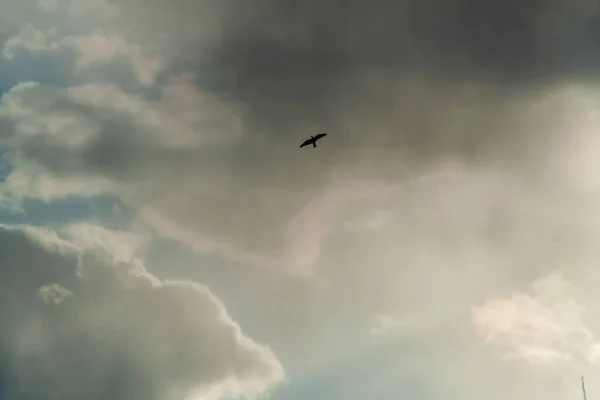 Ett Foto Molnig Himmel Sky Bakgrund Naturliga Moln — Stockfoto