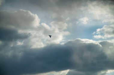 Bulutlu bir gökyüzünün fotoğrafı. Gökyüzü arka planı. doğal bulutlar.