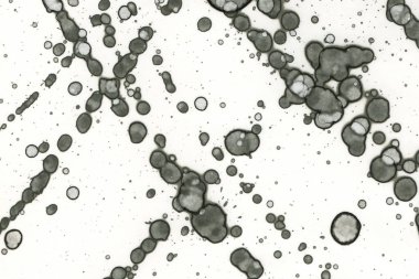 Alkol mürekkebi ve suluboya içeren soyut sanat eserleri. Modern sanat. İç resim