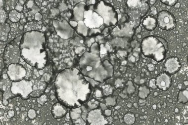 Alkol mürekkebi ve suluboya içeren soyut sanat eserleri. Modern sanat. İç resim