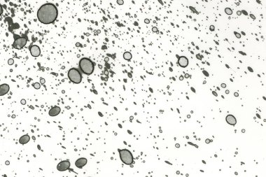 Alkol mürekkebi ve suluboya içeren soyut sanat eserleri. Modern sanat. İç resim