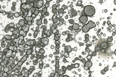 Alkol mürekkebi ve suluboya içeren soyut sanat eserleri. Modern sanat. İç resim