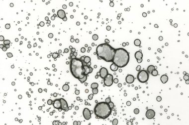 Alkol mürekkebi ve suluboya içeren soyut sanat eserleri. Modern sanat. İç resim