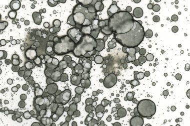 Alkol mürekkebi ve suluboya içeren soyut sanat eserleri. Modern sanat. İç resim