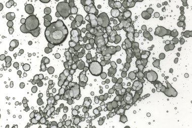 Alkol mürekkebi ve suluboya içeren soyut sanat eserleri. Modern sanat. İç resim