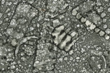 Alkol mürekkebi ve suluboya içeren soyut sanat eserleri. Modern sanat. İç resim