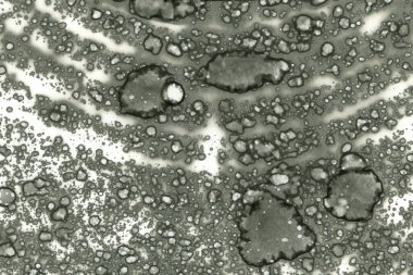 Alkol mürekkebi ve suluboya içeren soyut sanat eserleri. Modern sanat. İç resim