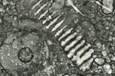 Alkol mürekkebi ve suluboya içeren soyut sanat eserleri. Modern sanat. İç resim